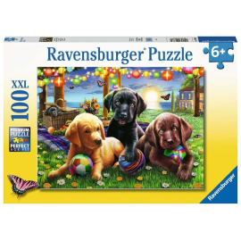 Puzzel van 100 stukjes voor hondenpicknick 