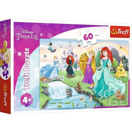 60-delige puzzel Ontmoetingen met de prinsessen 